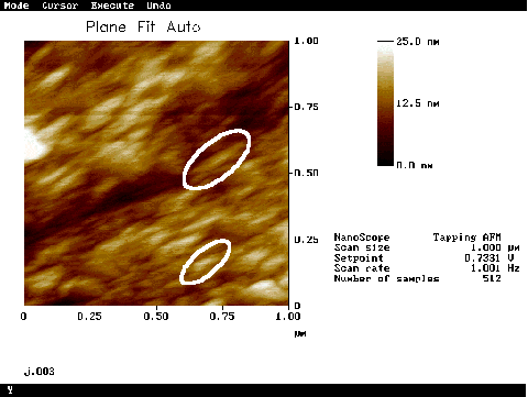 Afm height