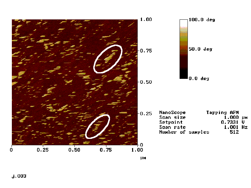 Afm phase
